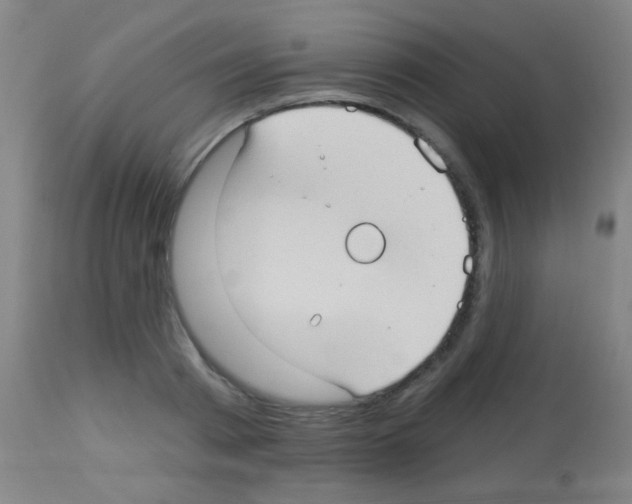 X0000113160793200910161243