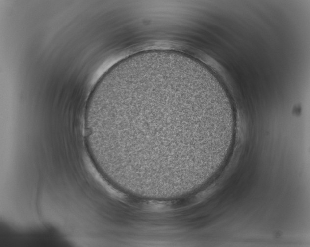 X0000113160794200910161243