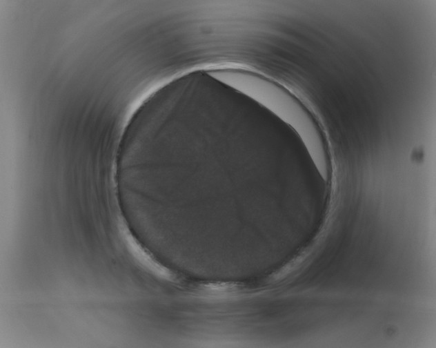 X0000113160797200910161243