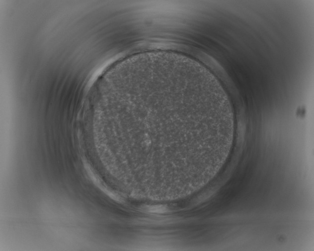 X0000113160798200910161243