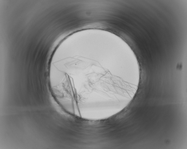 X0000113160800200910161243