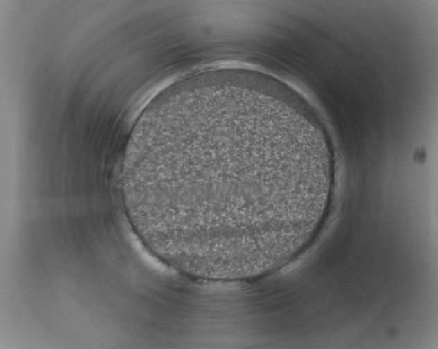 X0000113160801200910161243