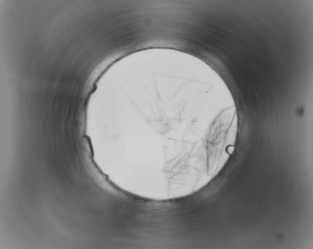 X0000113160804200910161243