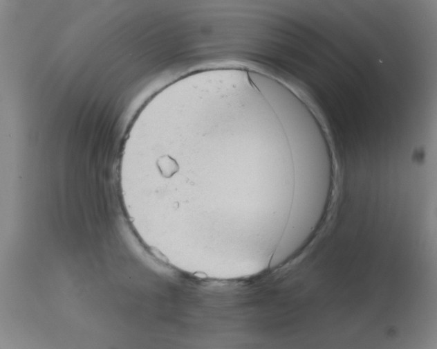 X0000113160805200910161243