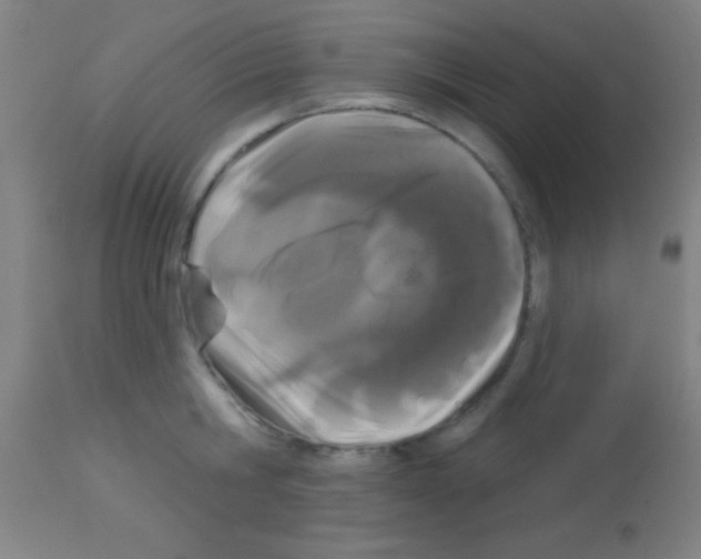 X0000113160806200910161243