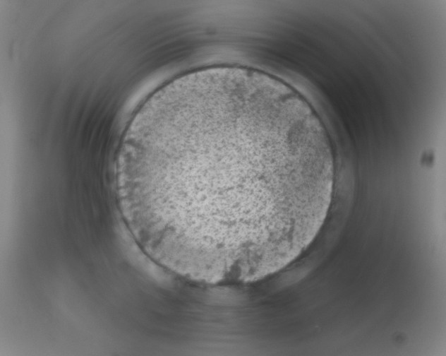 X0000113160807200910161243