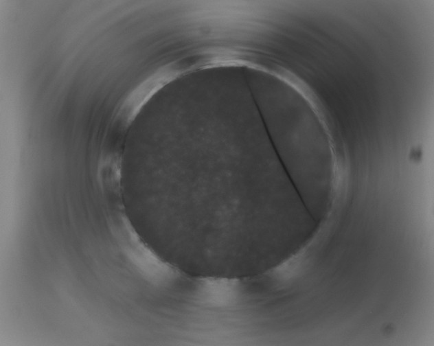 X0000113160809200910161243