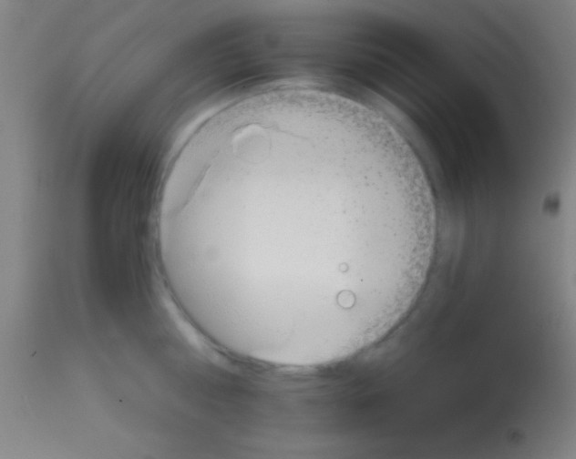 X0000113160810200910161243