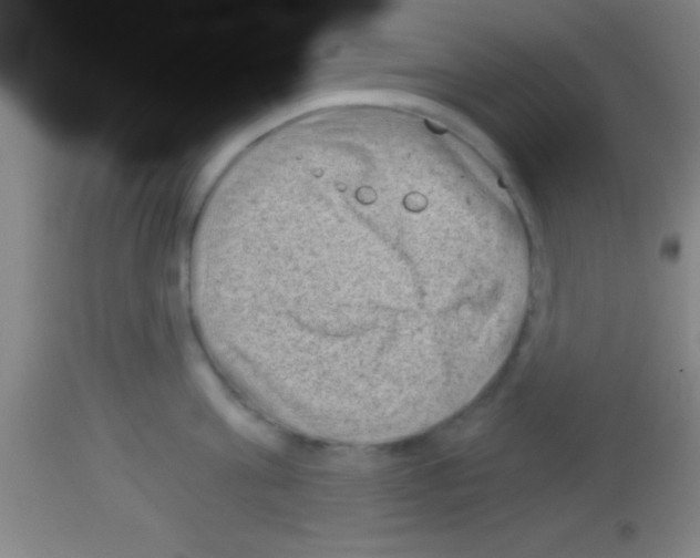 X0000113160811200910161243