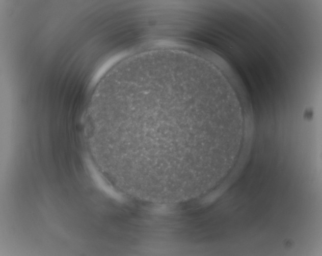 X0000113160814200910161243