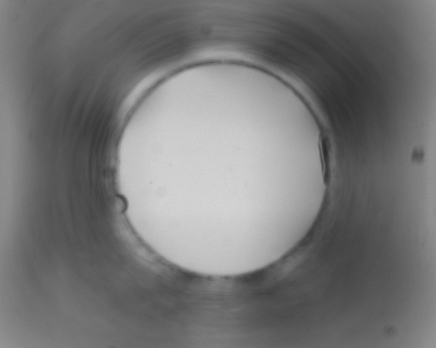 X0000113160815200910161243