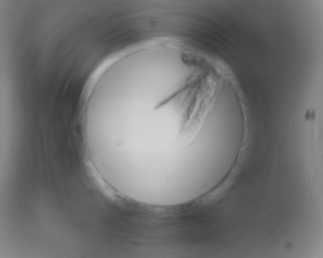 X0000113160816200910161242