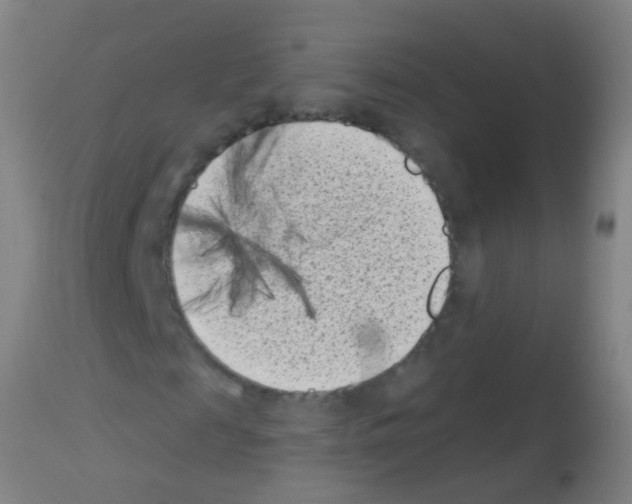 X0000113160817200910161242