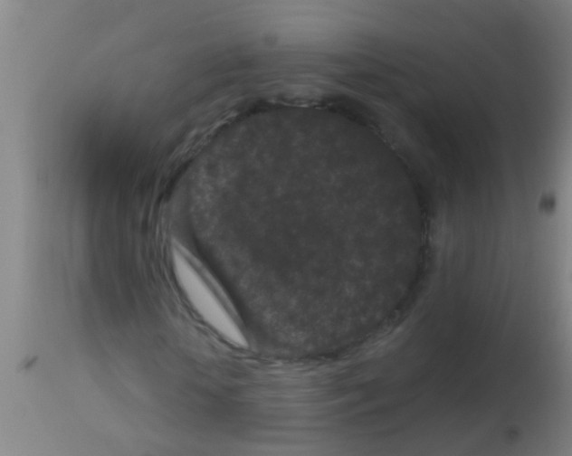 X0000113160818200910161242