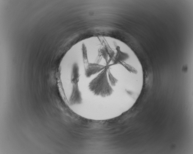 X0000113160819200910161242