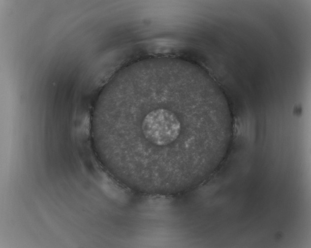 X0000113160820200910161242