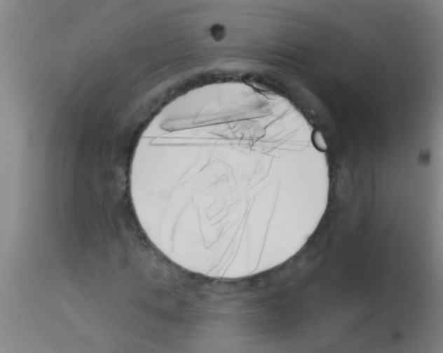 X0000113160821200910161242