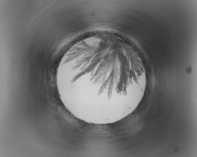 X0000113160823200910161242