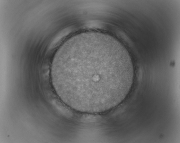 X0000113160824200910161242