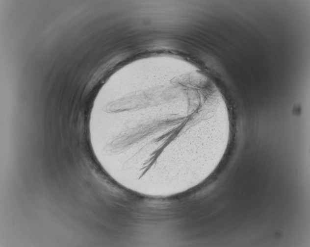 X0000113160825200910161242