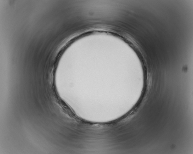 X0000113160829200910161242