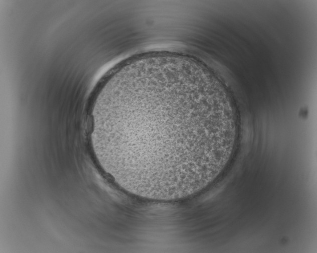 X0000113160830200910161242