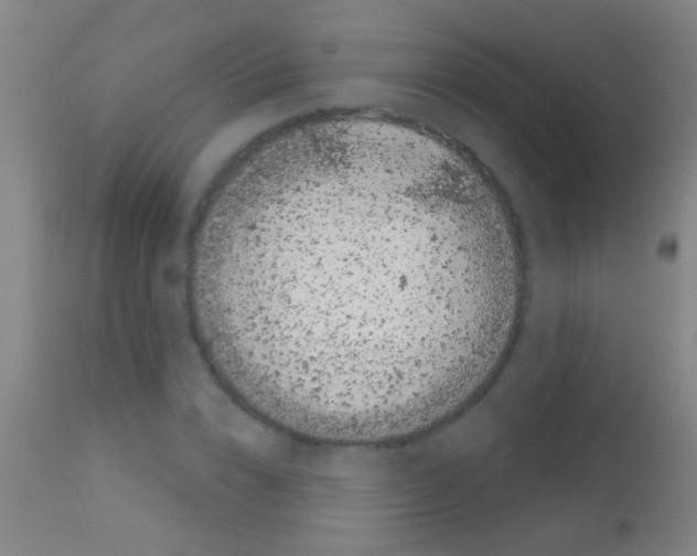 X0000113160832200910161242