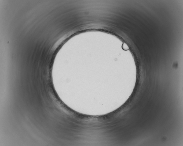 X0000113160834200910161242