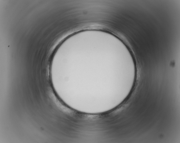 X0000113160835200910161242