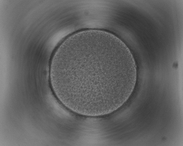 X0000113160840200910161242