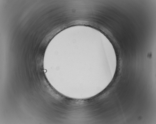 X0000113160841200910161242