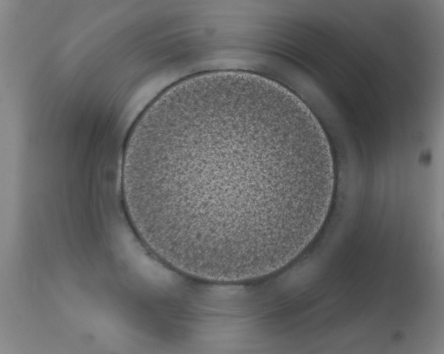 X0000113160844200910161242