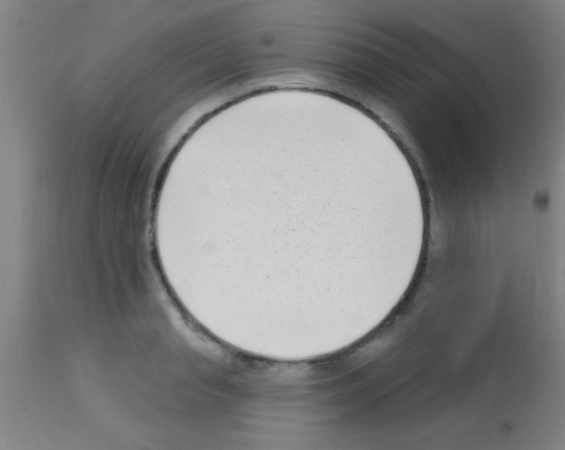 X0000113160845200910161242