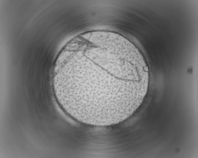 X0000113160847200910161242