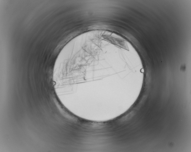 X0000113160849200910161242