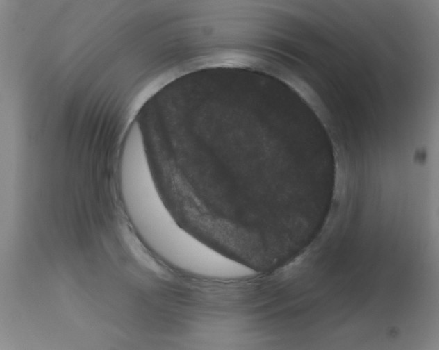 X0000113160850200910161242