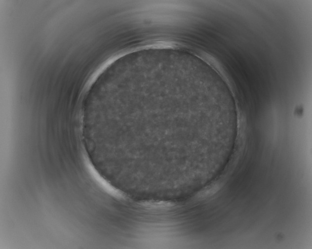 X0000113160851200910161242