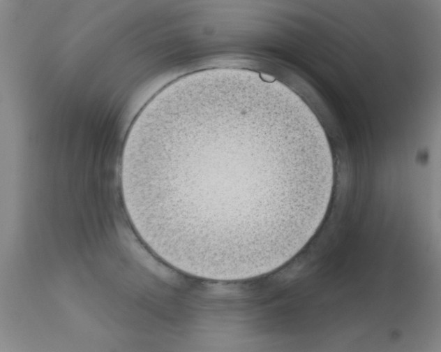 X0000113160852200910161242