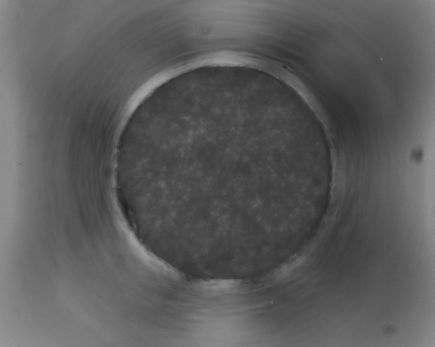 X0000113160853200910161242