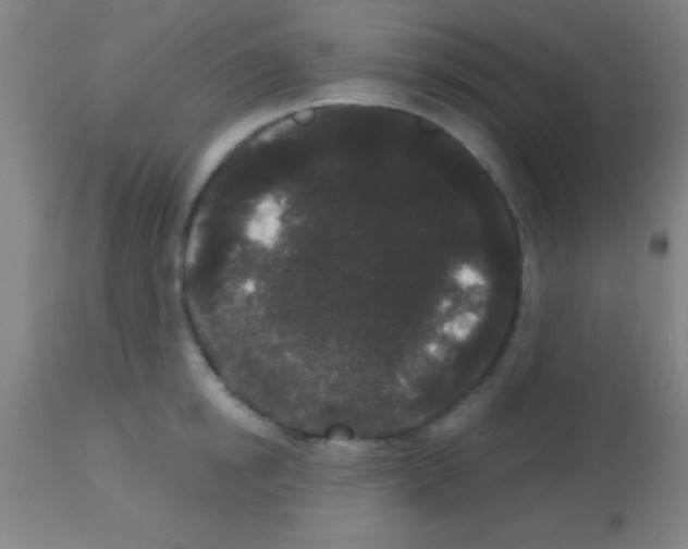 X0000113160854200910161242