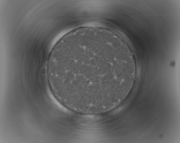 X0000113160855200910161242