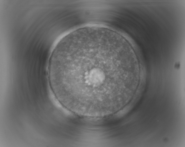 X0000113160856200910161242