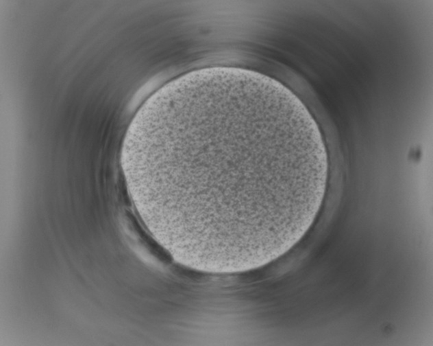 X0000113160858200910161242