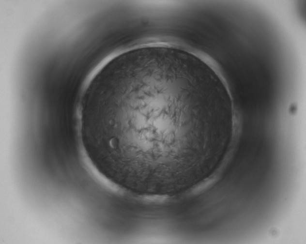 X0000113160859200910161242