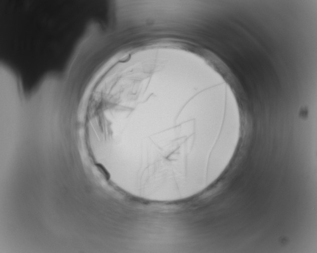 X0000113160860200910161242