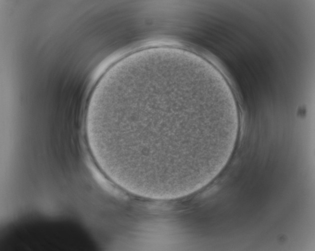 X0000113160861200910161242