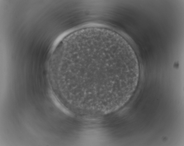 X0000113160862200910161242