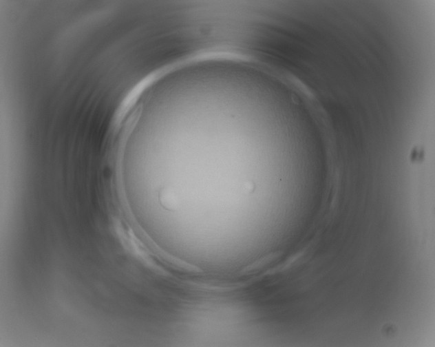 X0000113160864200910161242