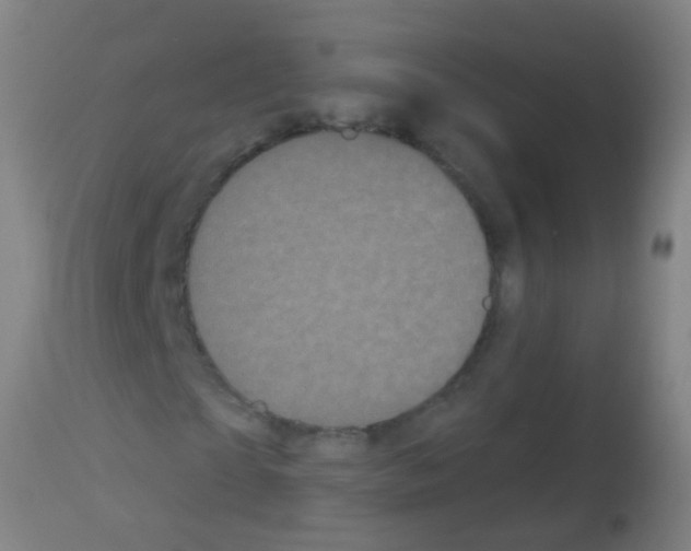 X0000113160865200910161242