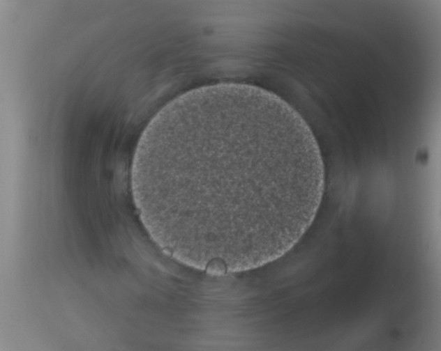 X0000113160866200910161242